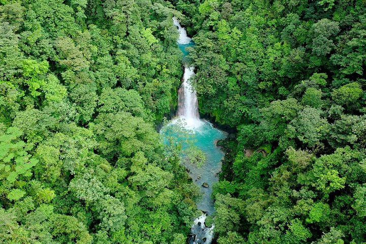 Rainforest Hiking, Sloth & wild life sanctuary, Celeste Waterfall Private Tour - Photo 1 of 20